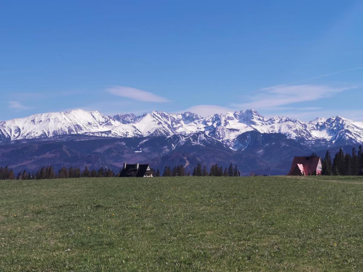 Dom Wczasowy Na Szczycie Zakopane Dış mekan fotoğraf