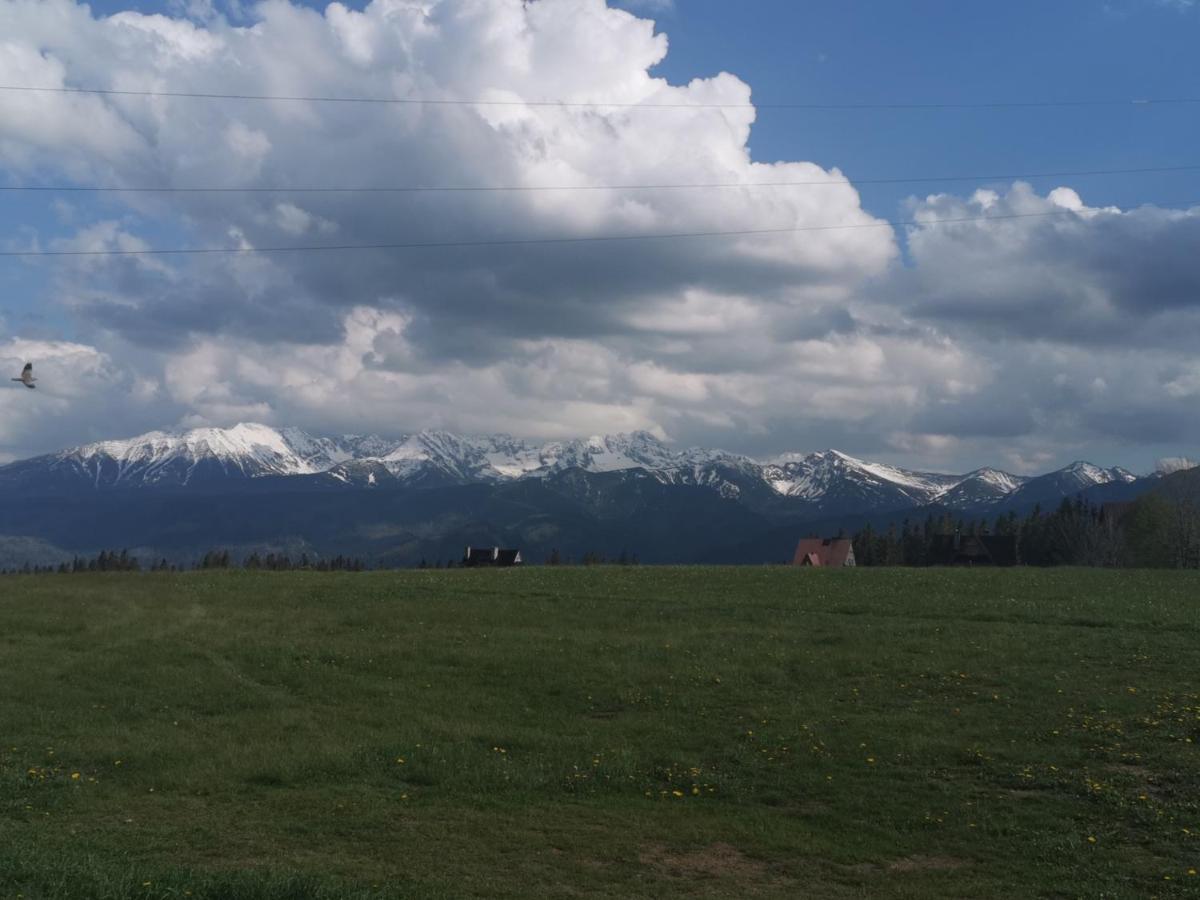 Dom Wczasowy Na Szczycie Zakopane Dış mekan fotoğraf