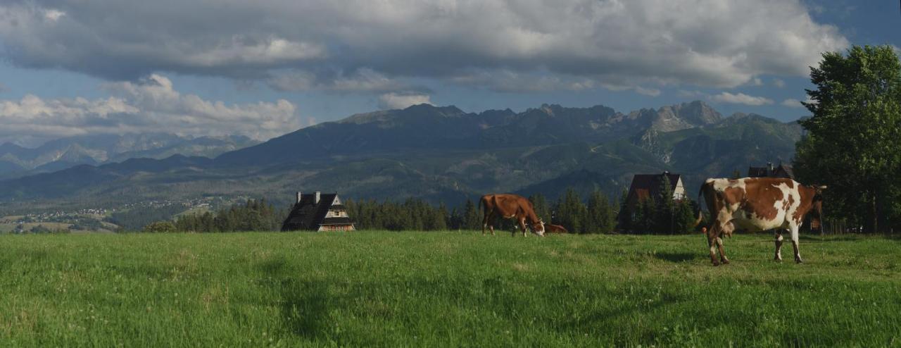 Dom Wczasowy Na Szczycie Zakopane Dış mekan fotoğraf